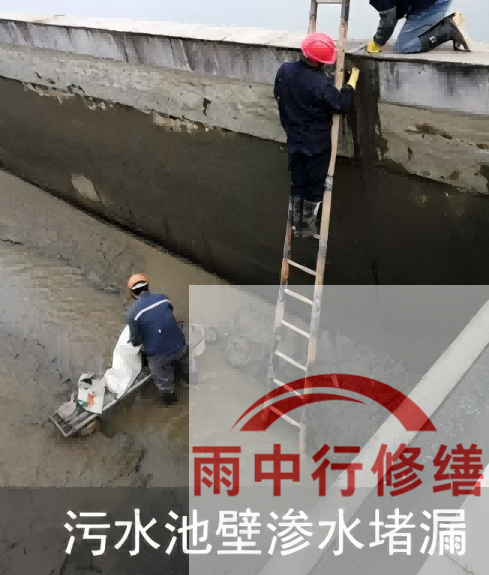 洛阳2026年防水龙头半月两次涨价，行业格局重塑信号