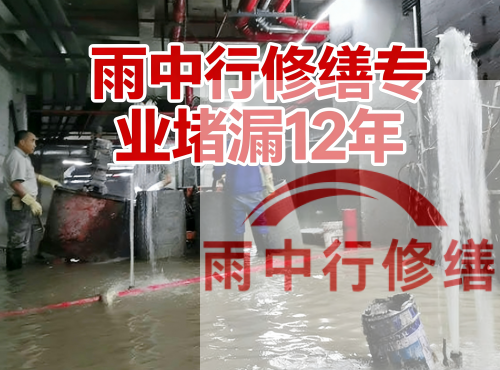 洛阳中国五矿某大型污水处理厂堵漏案例